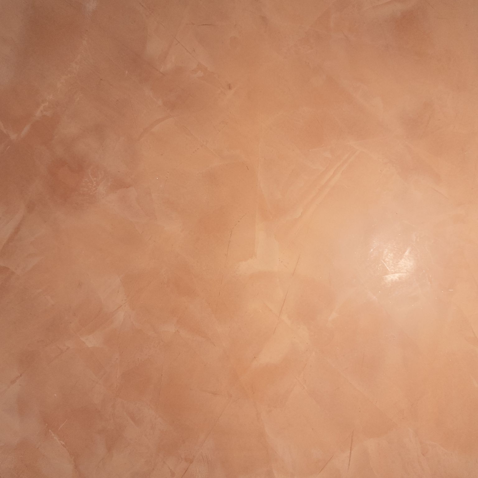 EVOLUTION - 金ベラ仕上げ