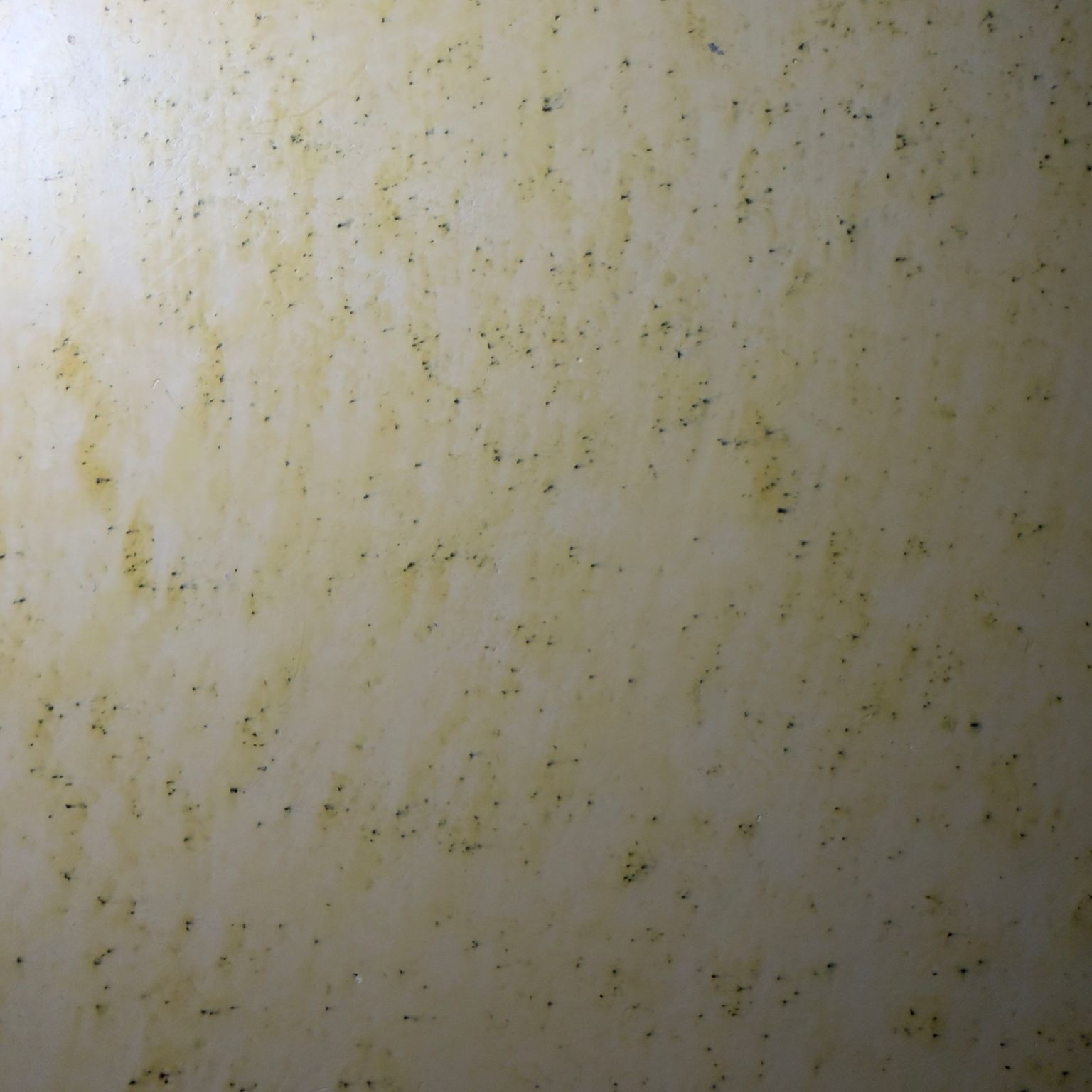 GRASSELLO - カルチェラザータ仕上げ(骨材多め）