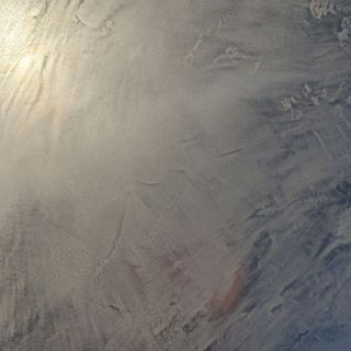 BRILLIO - ブロンズ