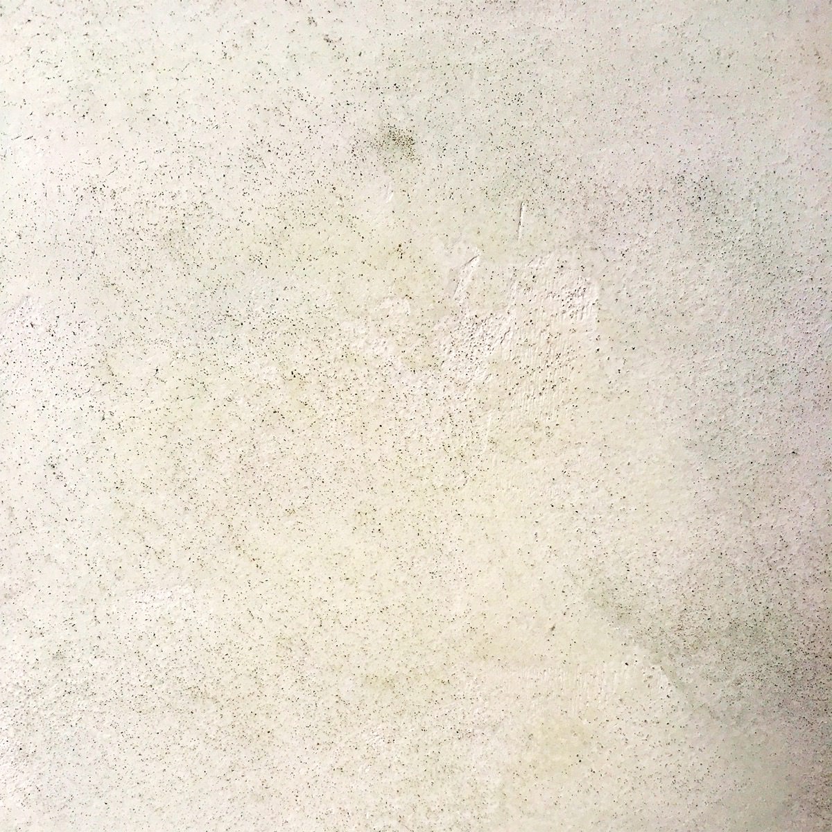 Morfo. Acrílic paint MARMORINO | 高級住宅やタワーマンションの内装リフォームや漆喰を活用